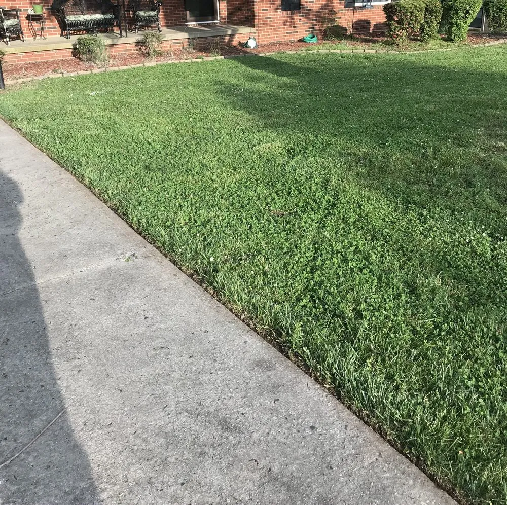 Custom lawn care service for beautiful yards in Winston Salem, NC by Dailey's Lawncare