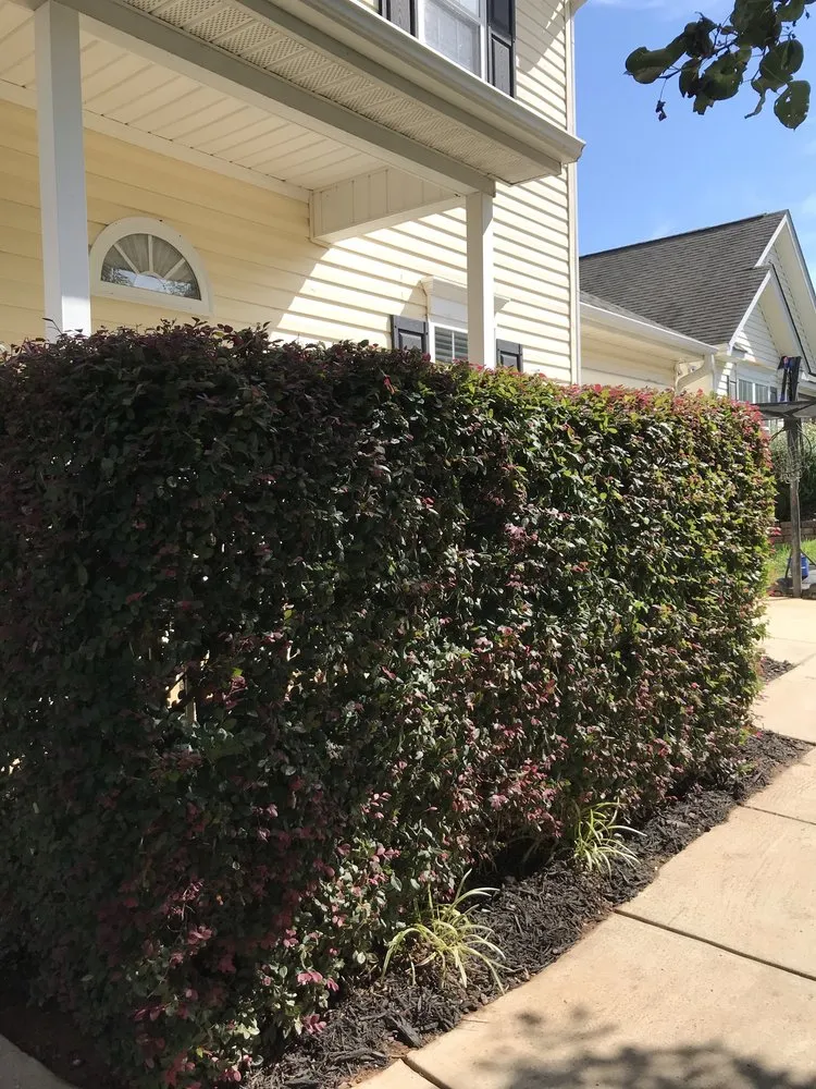 Custom landscape design experts serving Winston Salem, NC - Dailey's Lawncare