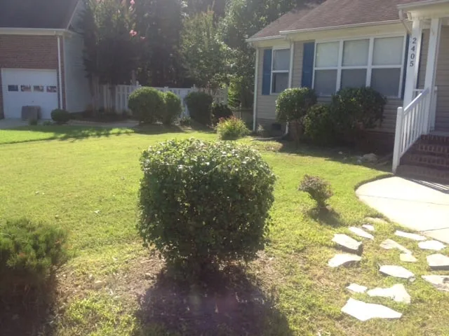 Local yard cleanup service in Chesapeake, VA by Dails Lawn Care