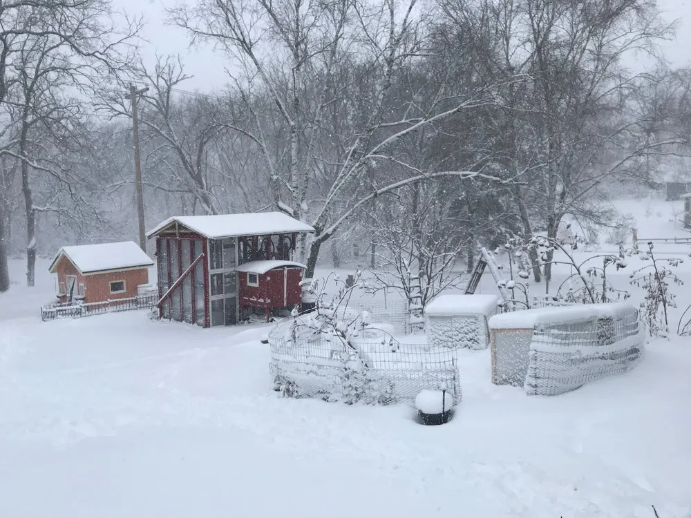 Reliable landscaping services in Mount Horeb, WI - Daily Harvest Designs, LLC