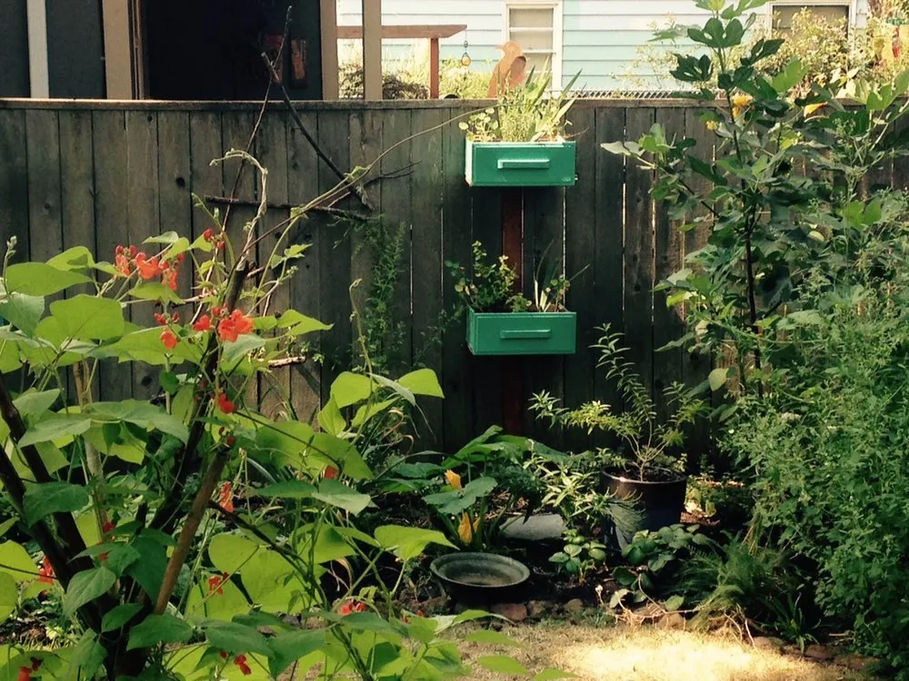 Affordable landscape design experts serving Mount Horeb, WI - Daily Harvest Designs, LLC