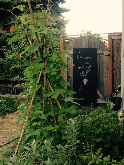 Local landscape design for year-round maintenance in Mount Horeb, WI by Daily Harvest Designs, LLC