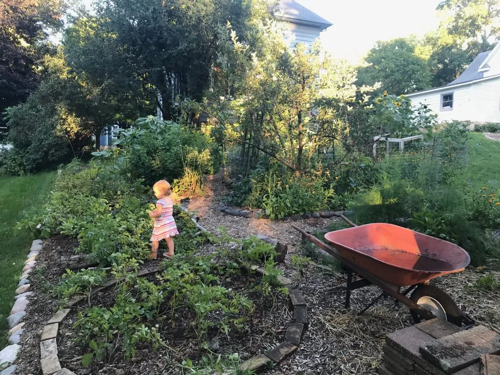 Expert lawn care service in Mount Horeb, WI by Daily Harvest Designs, LLC