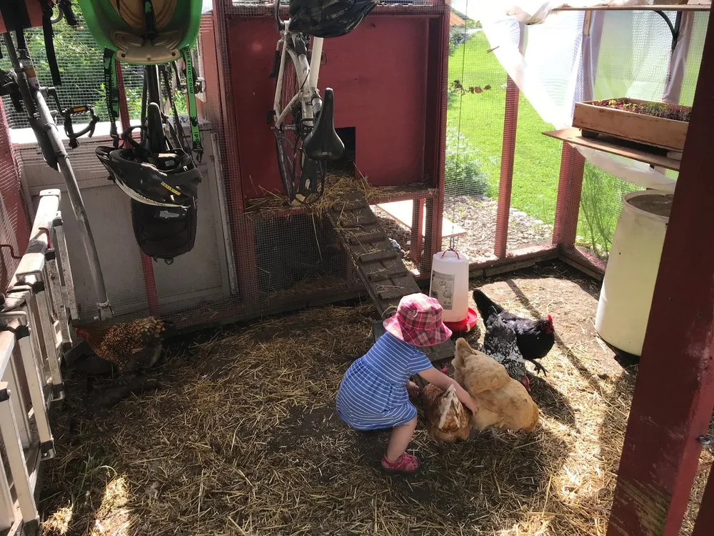 Professional garden landscaping for homes across Mount Horeb, WI - Daily Harvest Designs, LLC