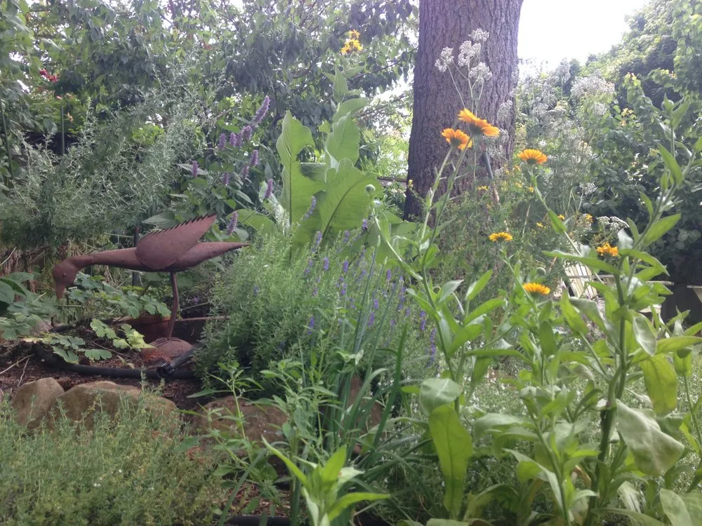 Local yard cleanup service in Mount Horeb, WI - Daily Harvest Designs, LLC