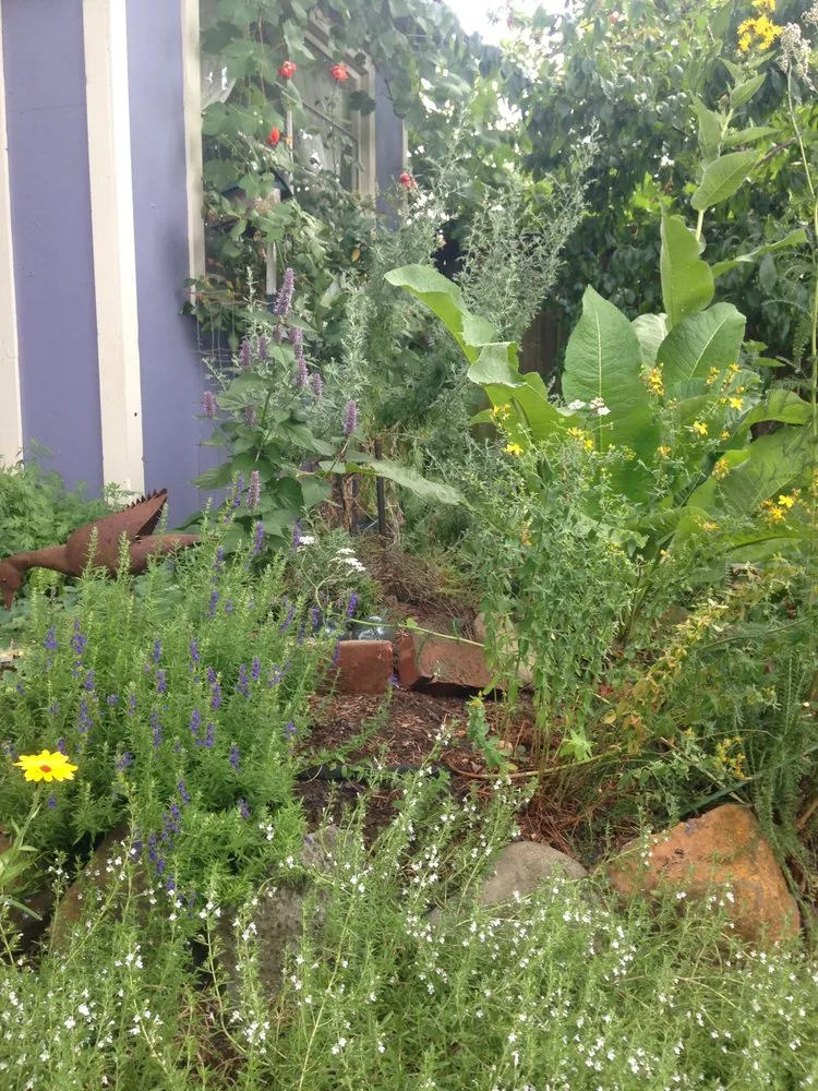 Custom outdoor landscaping with custom design across Mount Horeb, WI - Daily Harvest Designs, LLC