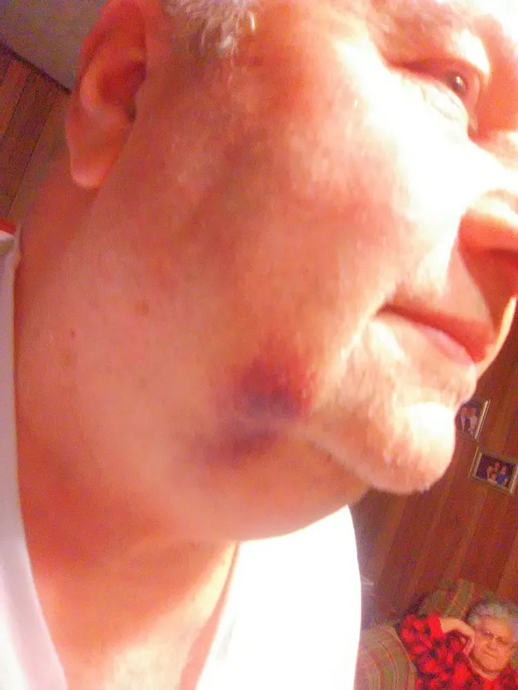 Trusted landscaping services for outdoor upgrades in Evansville, IN by Daily Lawn & Landscape