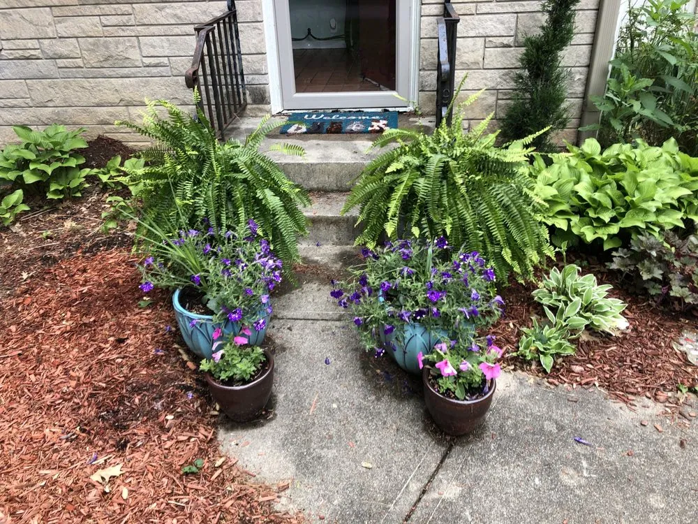 Professional lawn mowing service in Indianapolis, IN - Daily Lawn Lover