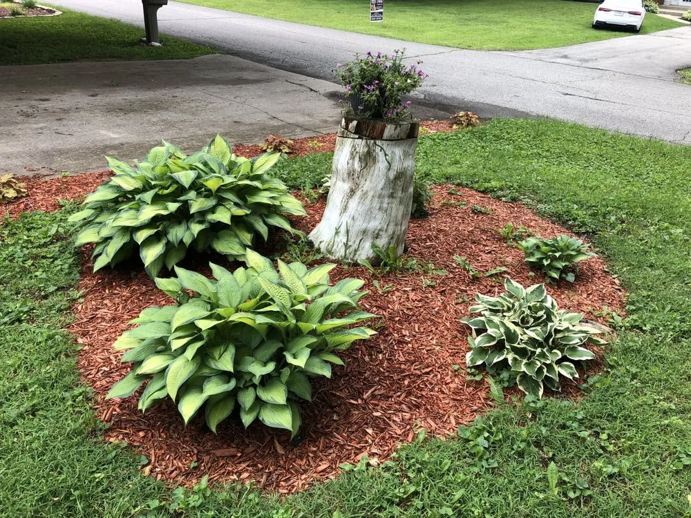 Expert landscape design experts serving Indianapolis, IN - Daily Lawn Lover