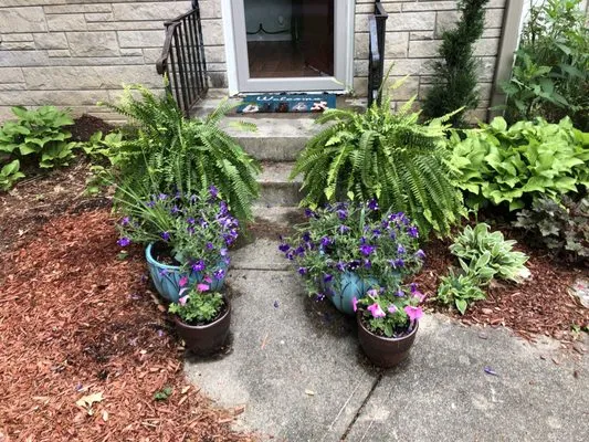 Daily Lawn Lover Logo