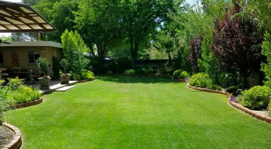 Expert residential landscaping near you in Houston, TX by Dairy Ashford Lawn Mowing Service