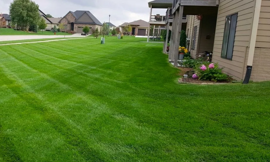 Custom lawn mowing service in Houston, TX by Dairy Ashford Lawn Mowing Service