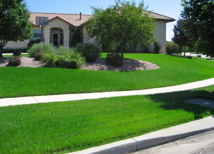 Reliable landscape design for outdoor upgrades in Houston, TX by Dairy Ashford Lawn Mowing Service