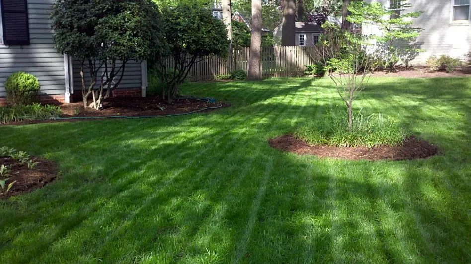 Professional lawn mowing service for outdoor upgrades across Houston, TX - Dairy Ashford Lawn Mowing Service