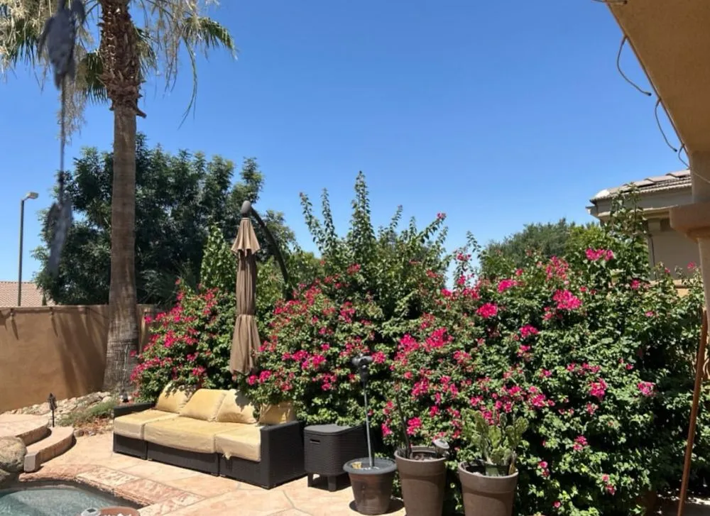 Professional landscape design in Mesa, AZ - Daisy Roots Hardscape