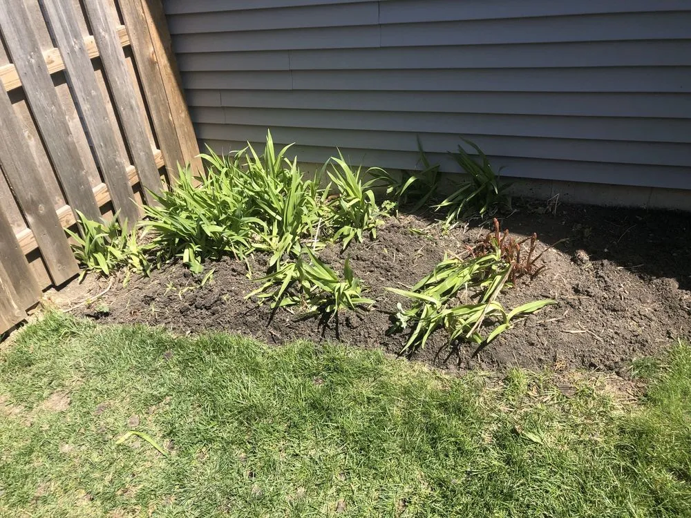 Reliable lawn mowing service experts serving Aurora, IL - DAISY'S LANDSCAPING & SNOW