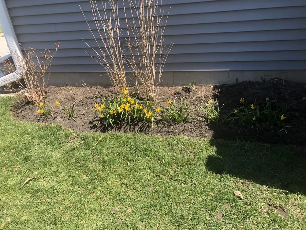 Trusted landscape installation in Aurora, IL - DAISY'S LANDSCAPING & SNOW