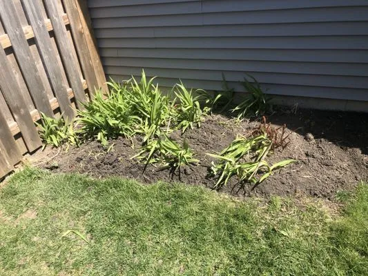 DAISY'S LANDSCAPING & SNOW Logo