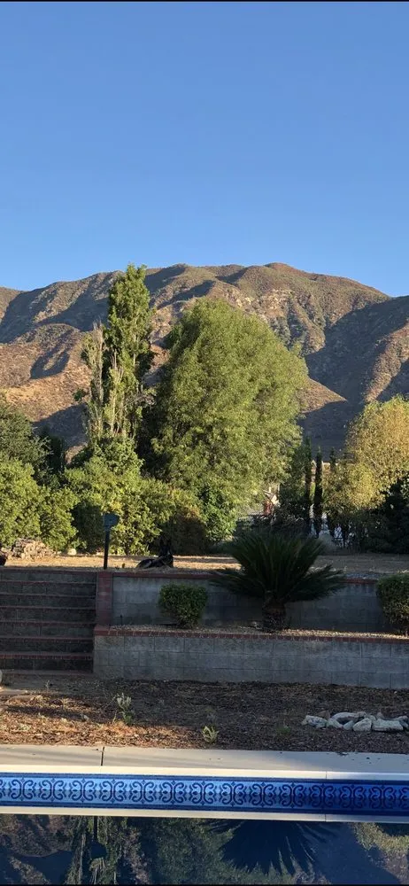 Trusted landscaping services for homes across San Bernardino, CA - Daisy's Landscaping