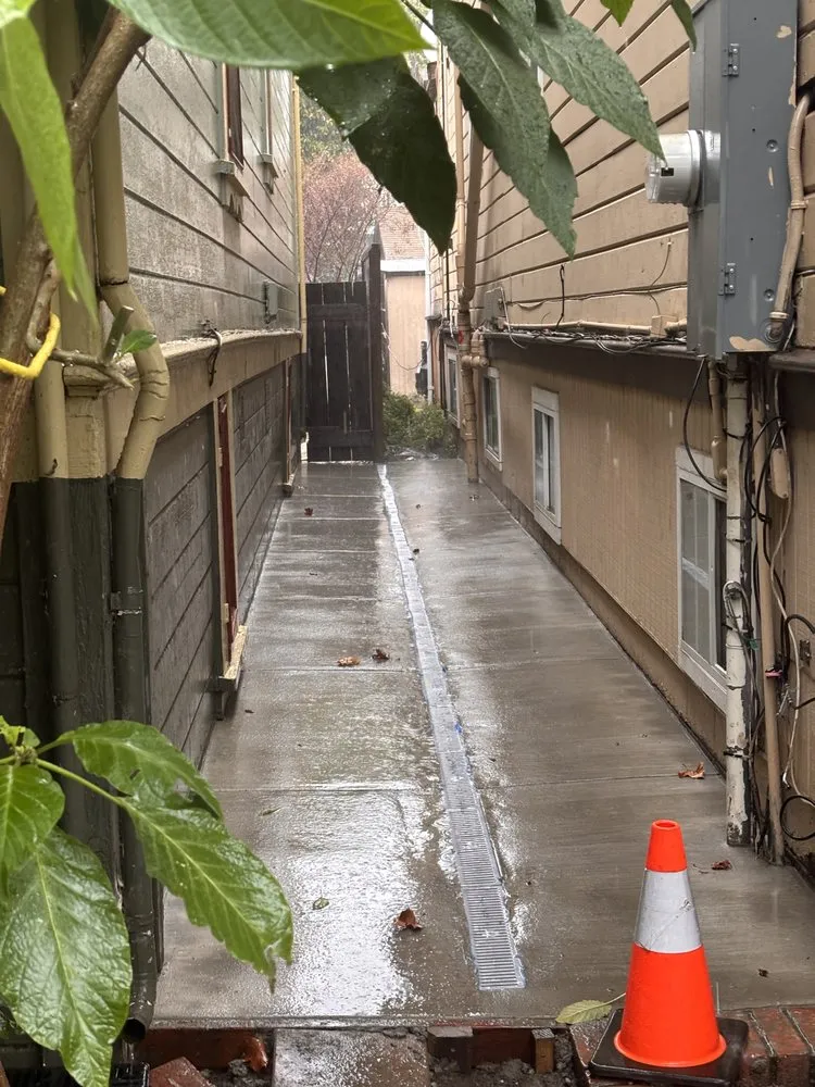 Affordable yard cleanup service in San José, CA by Daisys Landscaping