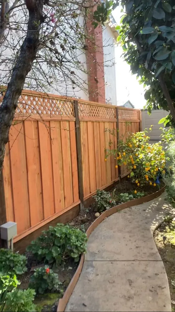 Top-rated landscape design for year-round maintenance across San José, CA - Daisys Landscaping