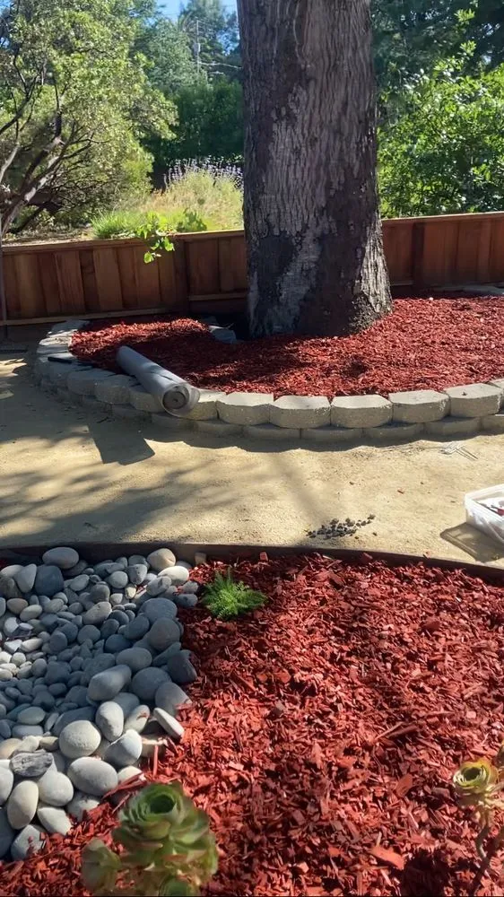 Trusted landscape design in San José, CA by Daisys Landscaping