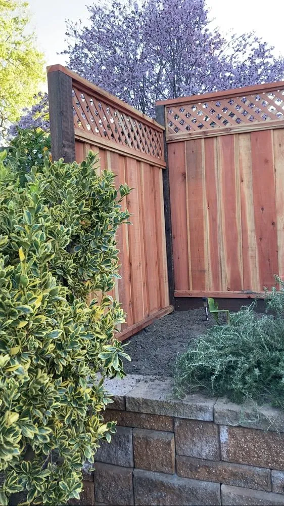 Local lawn mowing service in San José, CA - Daisys Landscaping