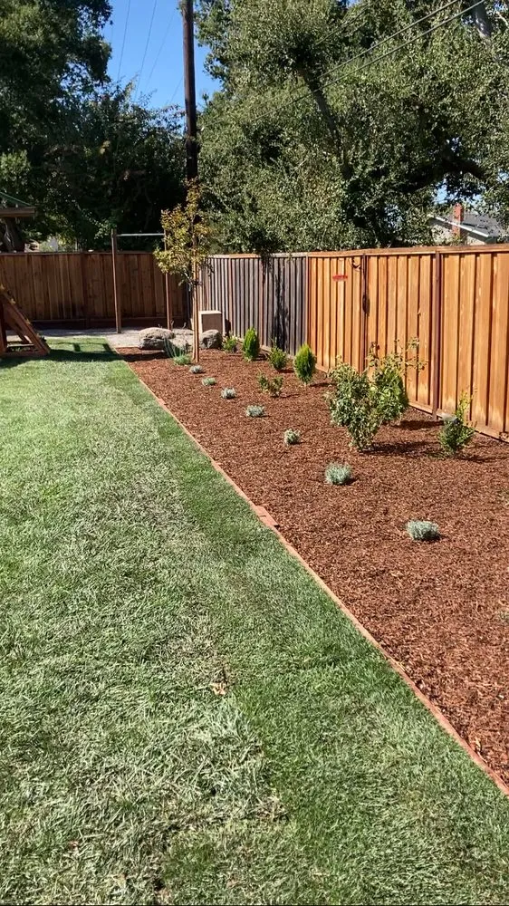 Reliable yard cleanup service in San José, CA by Daisys Landscaping