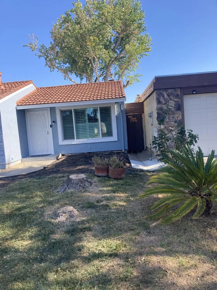 Custom lawn care service experts serving San José, CA - Daisys Landscaping