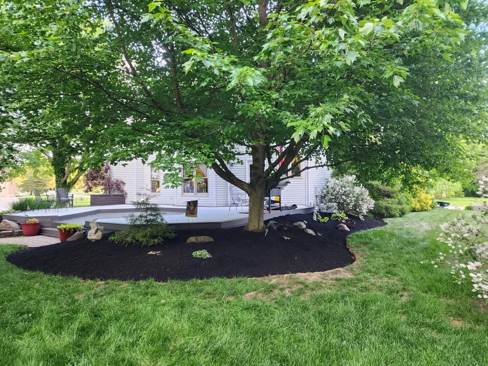 Professional yard maintenance in Lorain, OH by Daisy's Lawncare & Snow Removal