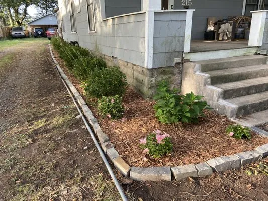 Daisy's Lawncare & Snow Removal Logo