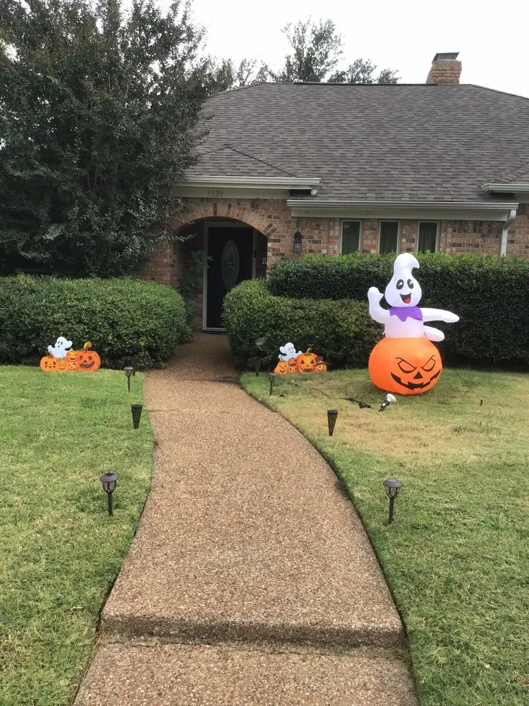 Trusted yard cleanup service experts serving Fort Worth, TX - Daizee Dukes