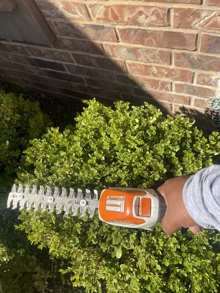 Trusted yard cleanup service in Oklahoma City, OK by DAJ Enterprises