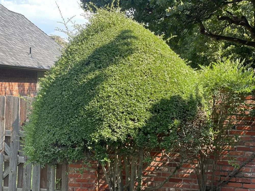 Top-rated outdoor landscaping in Oklahoma City, OK - DAJ Enterprises