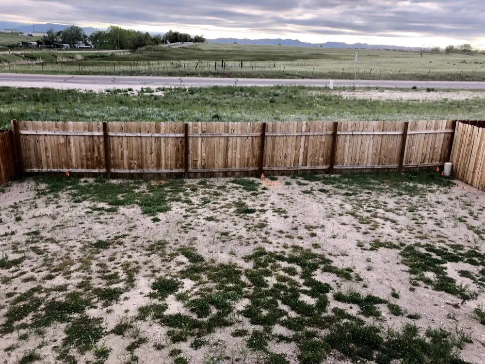 Reliable landscaping services in Colorado Springs, CO by DaKine Custom Landscaping & Design