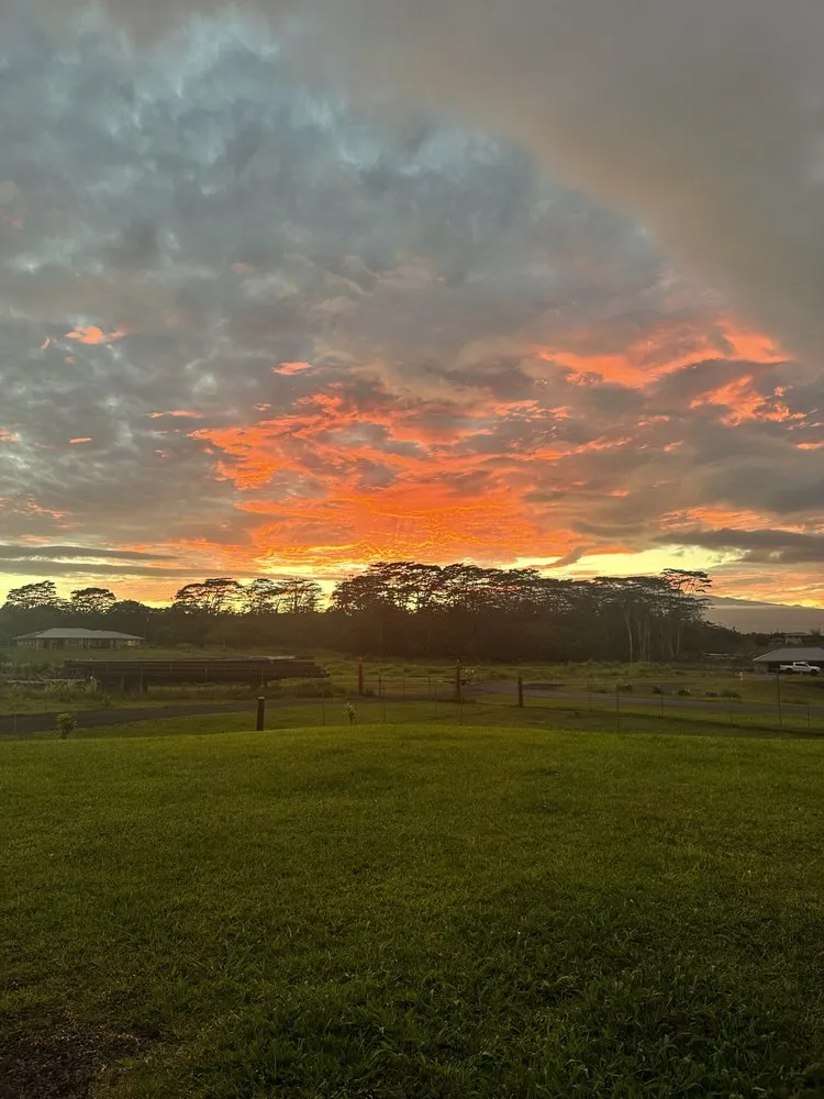 Affordable yard cleanup service in Hilo, HI - Dakine Lawn Care Services