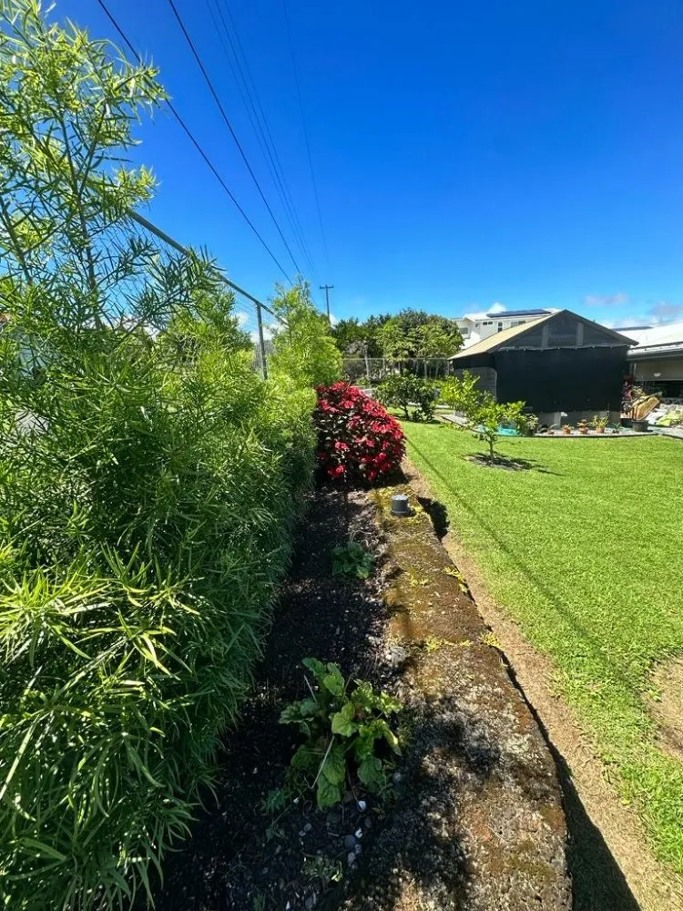 Custom lawn mowing service in Hilo, HI by Dakine Lawn Care Services