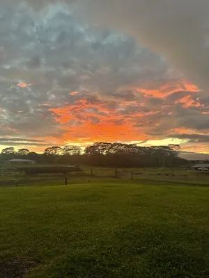 Dakine Lawn Care Services Logo