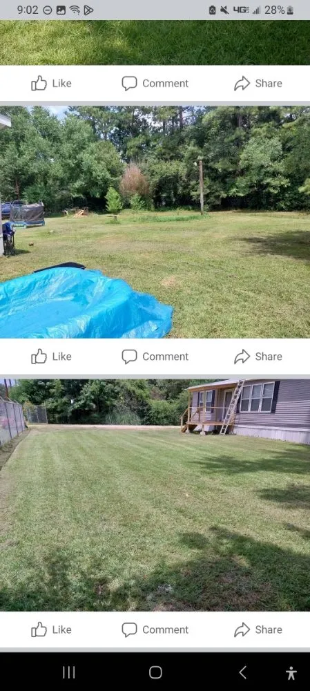 Local residential landscaping experts serving Pineville, LA - Daklevs mowing and landscaping