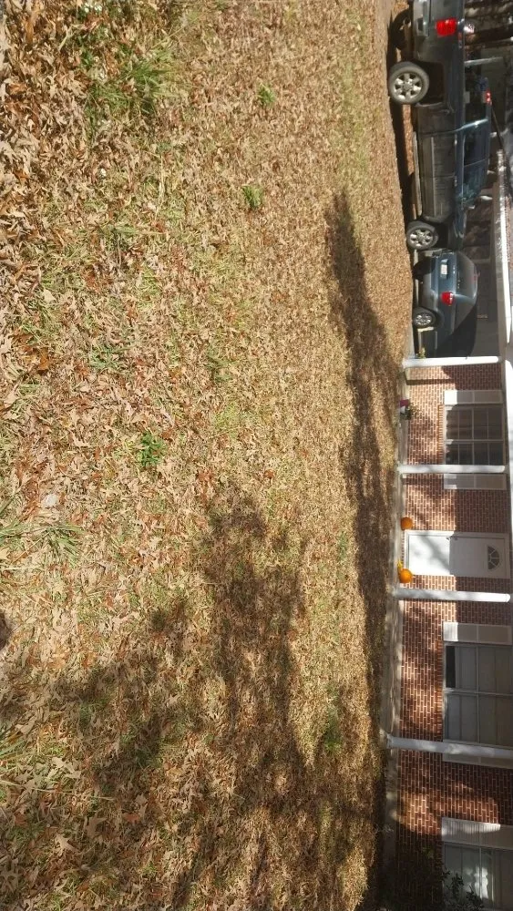 Professional lawn mowing service for beautiful yards in Pineville, LA by Daklevs mowing and landscaping