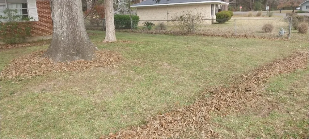 Affordable yard cleanup service in Pineville, LA - Daklevs mowing and landscaping