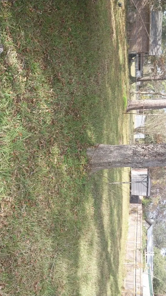 Custom outdoor landscaping experts serving Pineville, LA - Daklevs mowing and landscaping