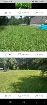 Daklevs mowing and landscaping Logo