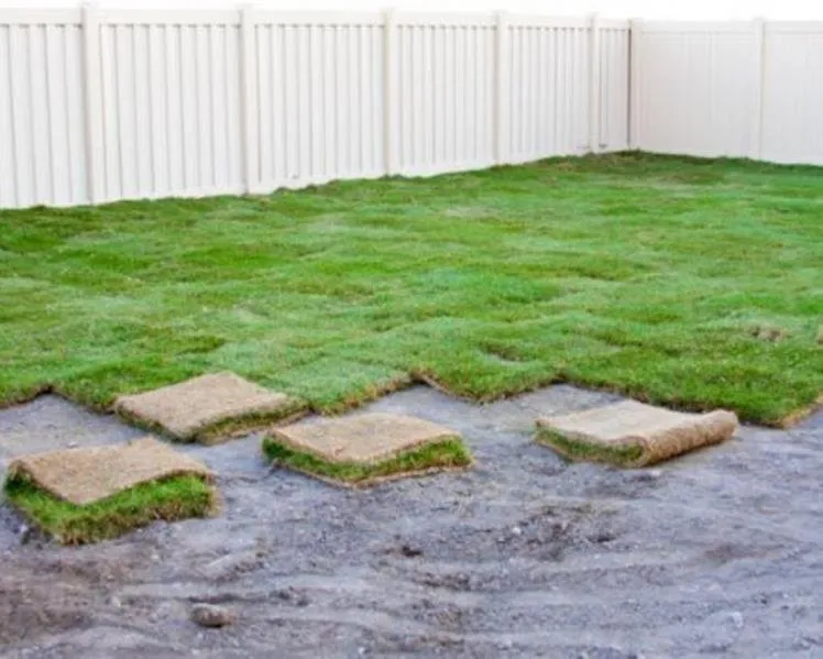 Top-rated landscaping services experts serving Clarksville, TN - Dakoda's Lawn Care and Landscaping
