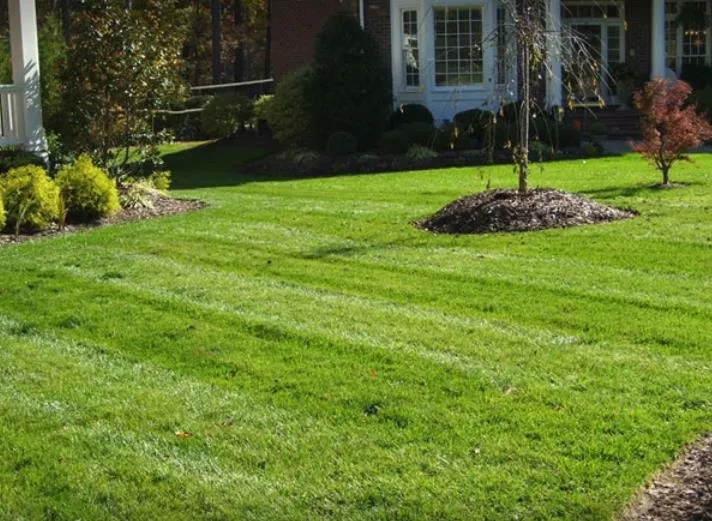Local lawn care service for outdoor upgrades in Clarksville, TN by Dakoda's Lawn Care and Landscaping