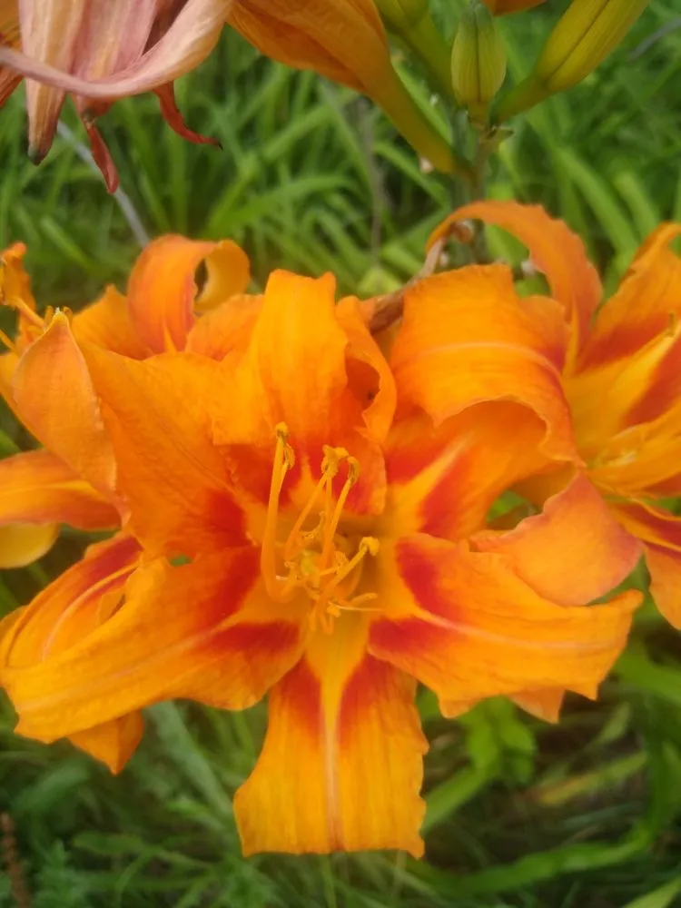 Top-rated landscape installation for outdoor upgrades across Marshall, MN - Dakota Boulders And Landscaping