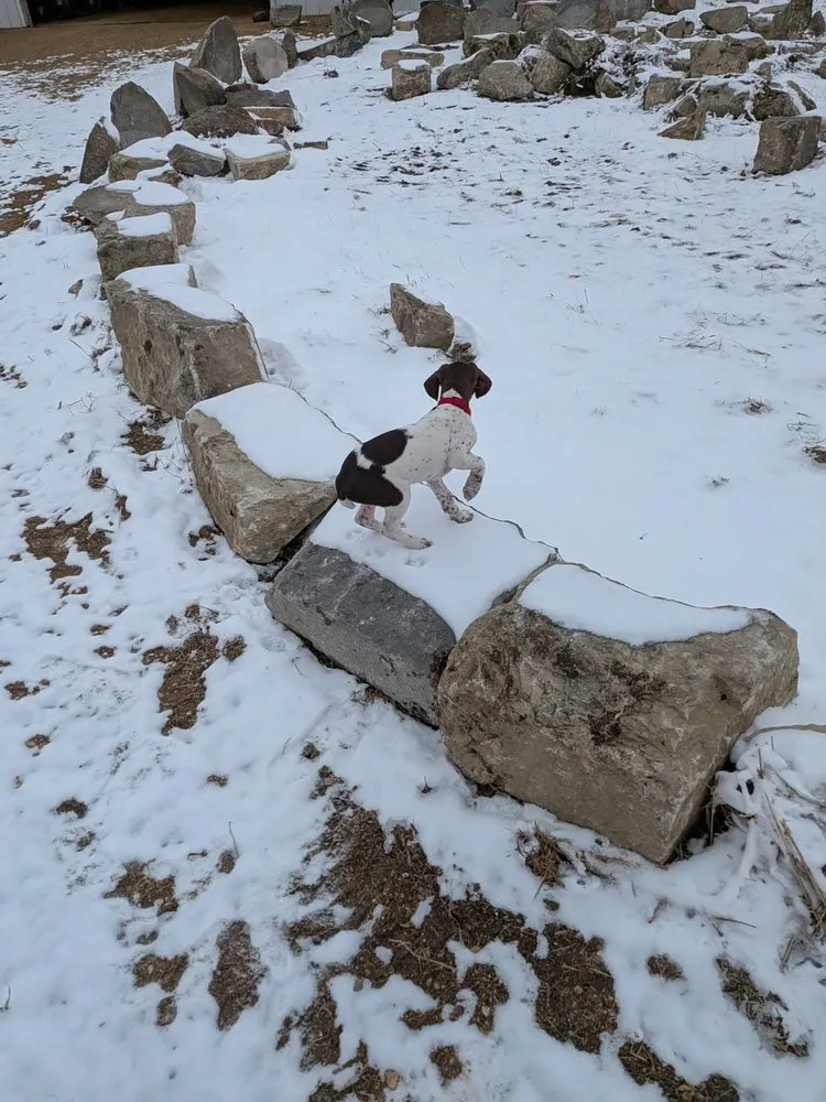 Custom yard maintenance experts serving Marshall, MN - Dakota Boulders And Landscaping