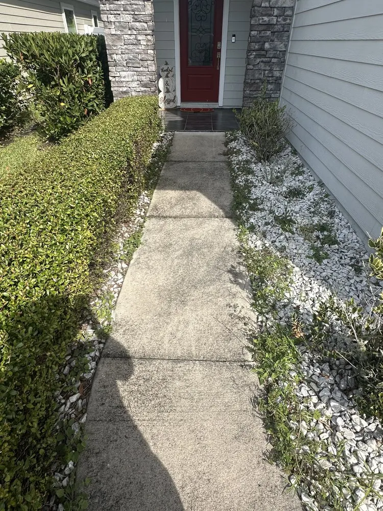 Top-rated outdoor landscaping experts serving Jacksonville, FL - Dakota Criner