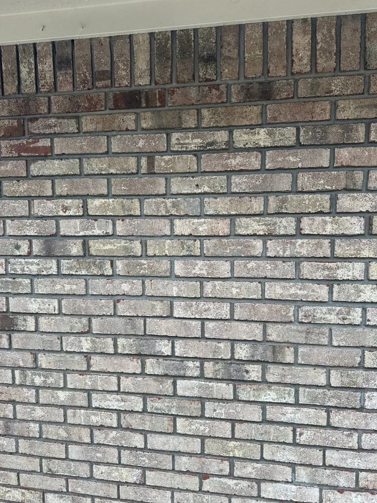 Trusted lawn mowing service experts serving Jacksonville, FL - Dakota Criner