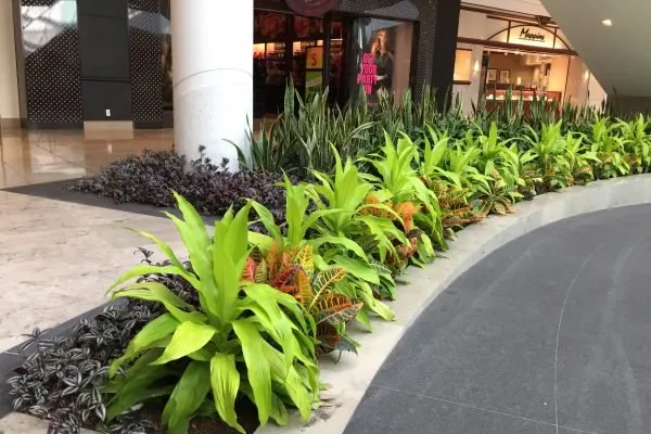 Custom landscaping services near you across Apple Valley, MN - Dakota Green Blades